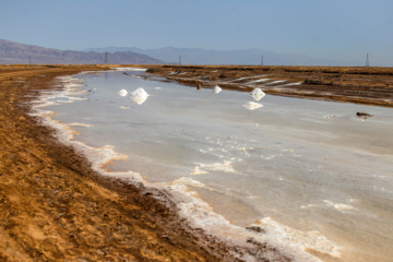 برداشت سنتی نمک