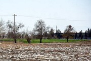 کشت زیرنایلونی تهدید محیط‌زیست و کشاورزی استان اردبیل