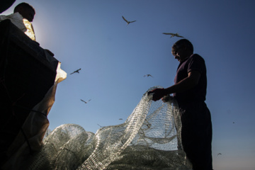 Pesca de camarones y peces en el Golfo Pérsico