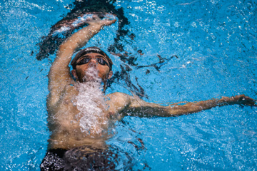 Des compétitions de natation à Téhéran 