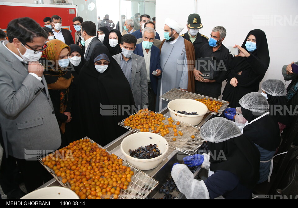 سفر معاون امور زنان رییس جمهوری به خراسان رضوی