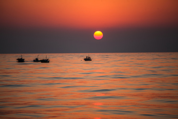 Pesca de camarones y peces en el Golfo Pérsico