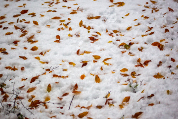 Nieve otoñal en Mazandarán