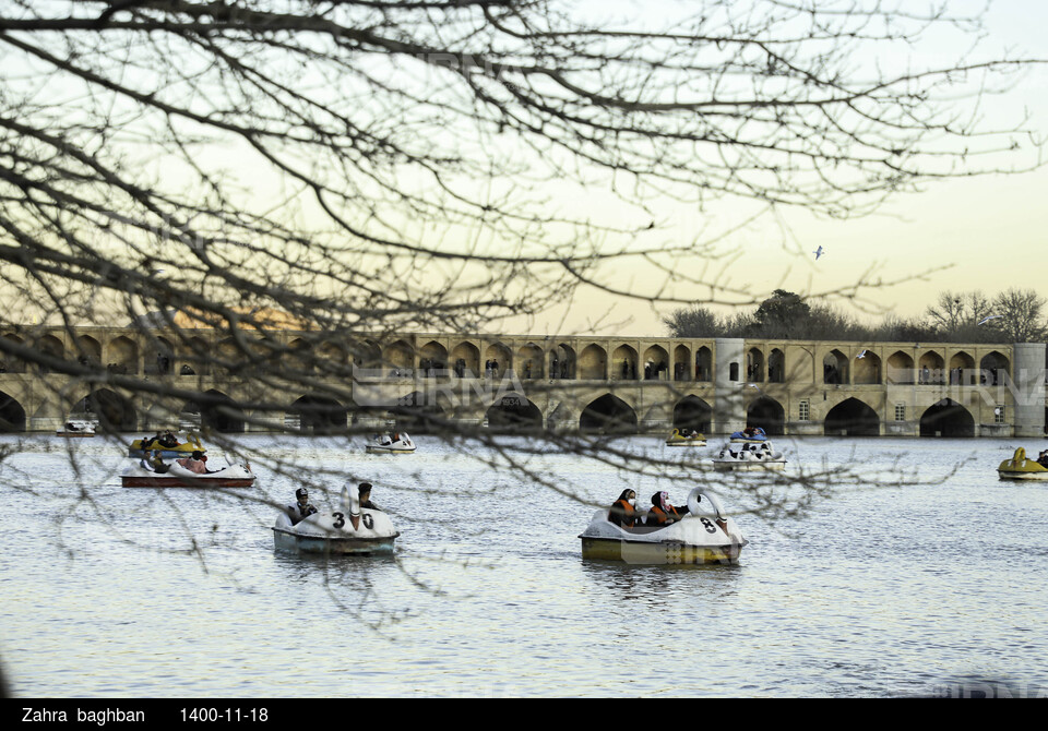 میزبانی زاینده رود از پرندگان مهاجر