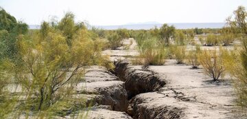  زمین پای ایستادن ندارد