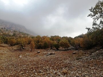 پاییز در روستای طولاب میشخاص