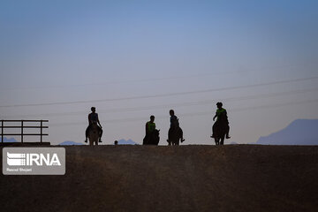 Endurance riding competition in Iran