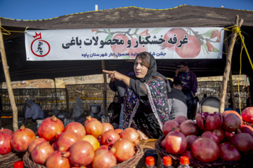 جشنواره شکرانه محصول انار شهرستان پاوه