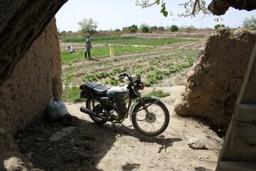 کوچه باغ های سمنان در بهار 1400