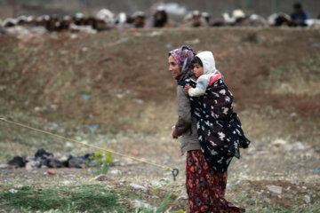 زندگی عشایر در مراتع همدان