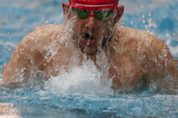 Des compétitions de natation à Téhéran 