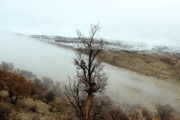 طبیعت پائیزی کوهستان