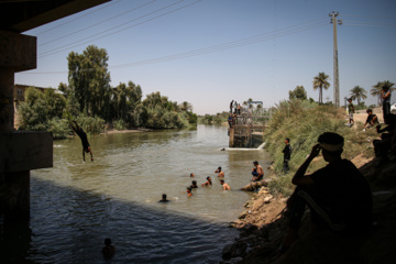 Arbaeen walk; Divaniyeh to Kufa route