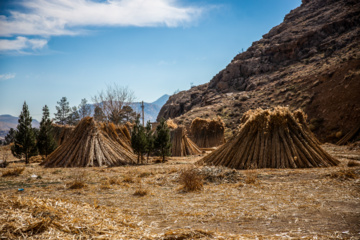 بوریابافی در زرقان فارس