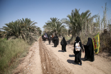 Arbaeen walk; Divaniyeh to Kufa route