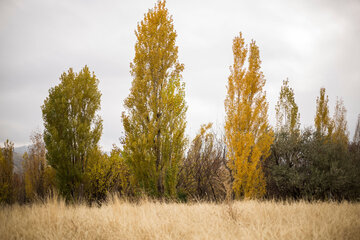 زیبایی فصل پاییز