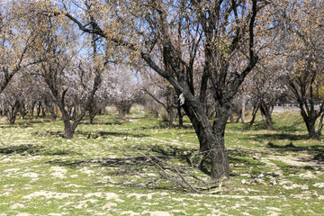 ردپای گردشگران در طبیعت روستای مهارلو