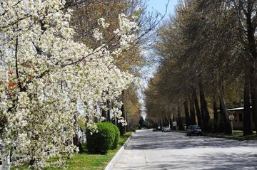 دانشگاه ارومیه