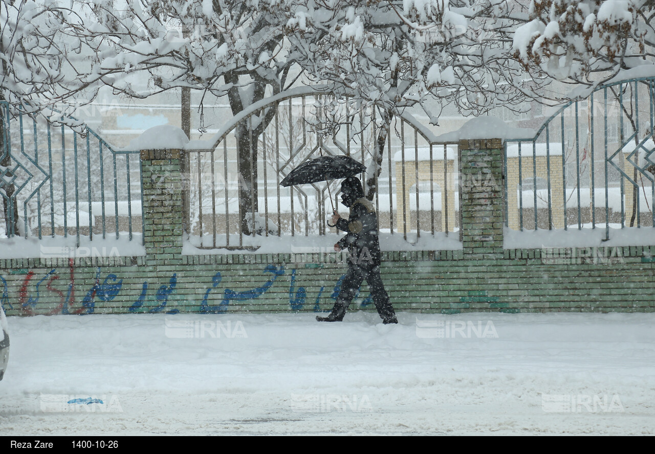 بارش برف زمستانی در اردبیل