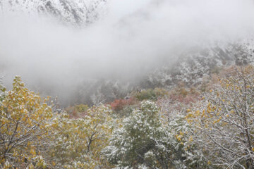 خودنمایی زمستان در پاییز