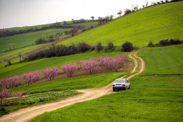 بهار در مازندران