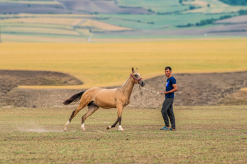 روستا