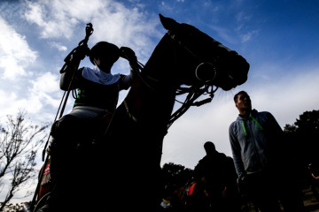 Liga Nacional de Polo en Irán