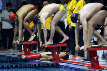 Competiciones nacionales de Natación en Piscina Corta