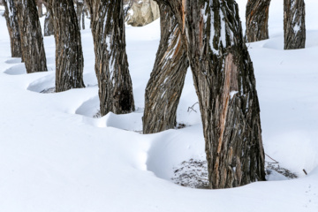 La beauté de la nature hivernale dans le village de Chibli, au nord-ouest du pays