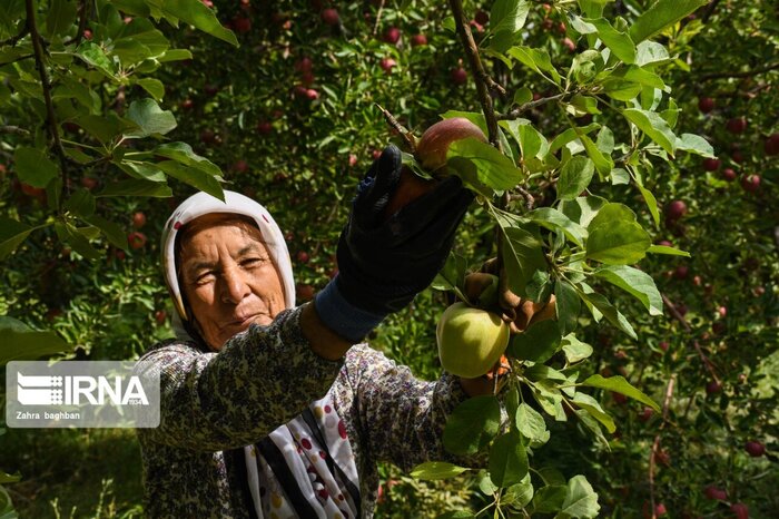 توسعه روستاهای فارس زیر چتر حمایت دولت؛ از ایجاد شبکه تعاونی تا پیگیری ۴۳ طرح عمرانی