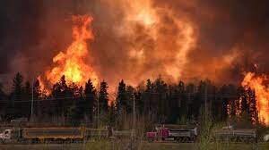 آتش سوزی جنگلها در کالیفرنیا؛ هزاران نفر منازل خود را تخلیه کردند