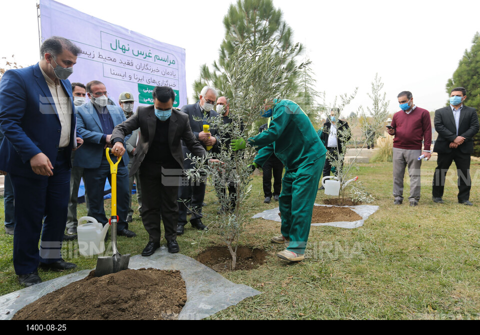 نشست خبری رییس سازمان حفاظت محیط‌زیست - غرس نهال یادمان خبرنگارن فقید