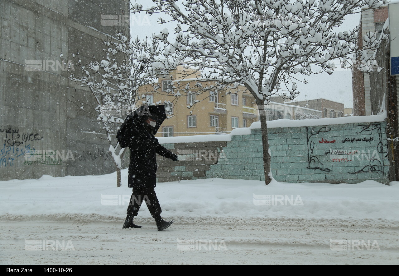 بارش برف زمستانی در اردبیل