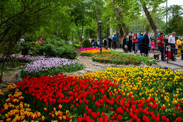 Le Jardin Iranien pour admirer les tulipes dans la capitale Téhéran