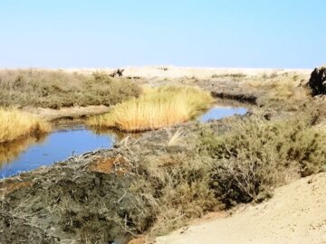 لایروبی و روان سازی بستر رودخانه زاینده رود حد فاصل روستای "قورتان" به سمت ورزنه و تالاب بین‌المللی گاوخونی به طول ۲۳ کیلیومتر بصورت پیوسته و بر اساس اولویت‌ها/ شهریور 1400