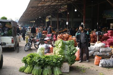 فرماندار همدان از ساماندهی میدان میوه و تره بار شهر خبر داد