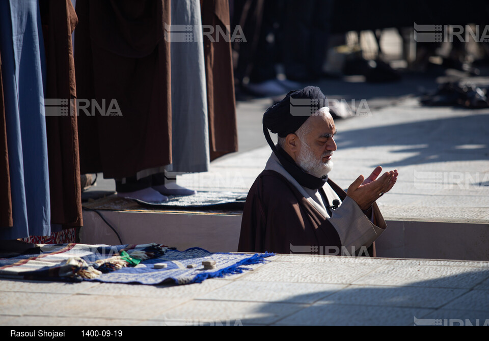 سید ابوالحسن مهدوی