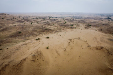 مالچ پاشی در خوزستان