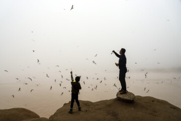 Brouillard et brume ce matin à Ahvaz dans le sud de l’Iran