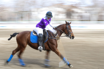 Liga Nacional de Polo en Irán