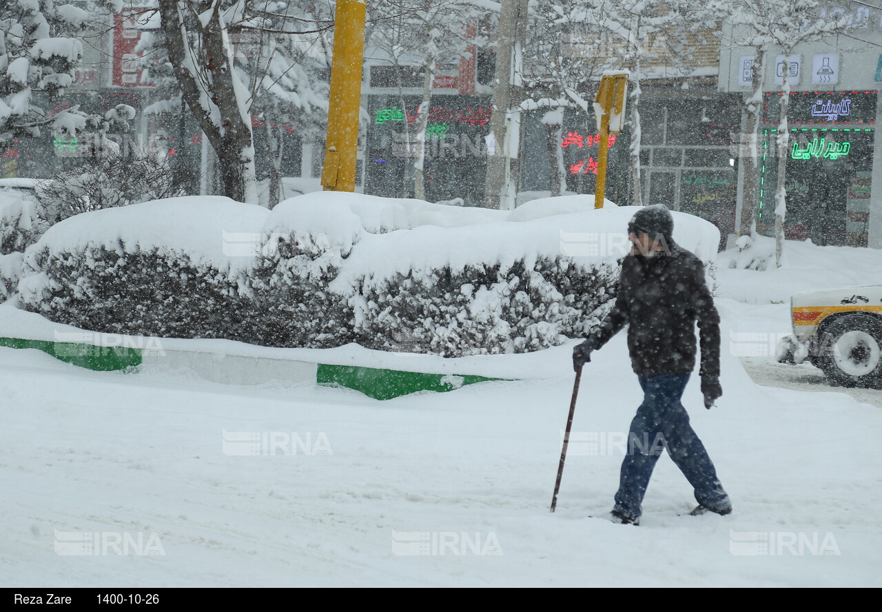 بارش برف زمستانی در اردبیل