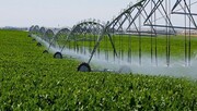 یکپارچه سازی اراضی بهره وری از آب کشاورزی  را ارتقاء می بخشد