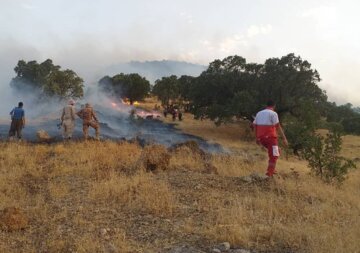 آتش سوزی منطقه حفاظت شده بوزین و مرخیل پاوه