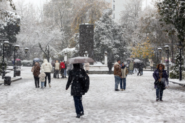 Iran-décembre 2024 : chutes de neige d’automne à Rasht au nord (Photo : Mojtaba Mohammadi)