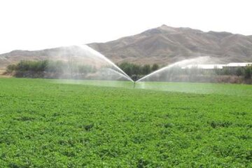 حدود ۱۵۰۰ هکتار زمین کشاورزی چالدران به آبیاری نوین مجهز شد