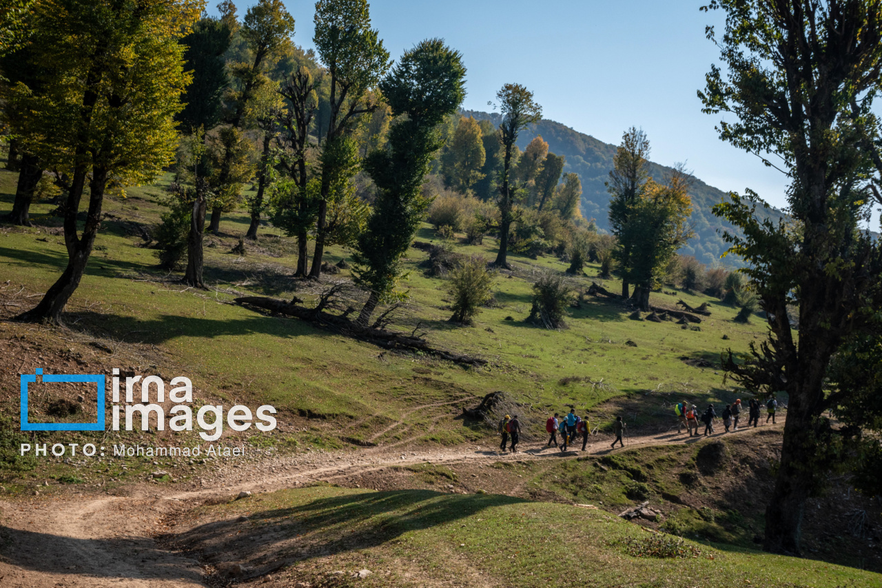 دشت مرکوه در استان گلستان