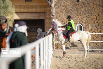 Endurance riding competition in Iran