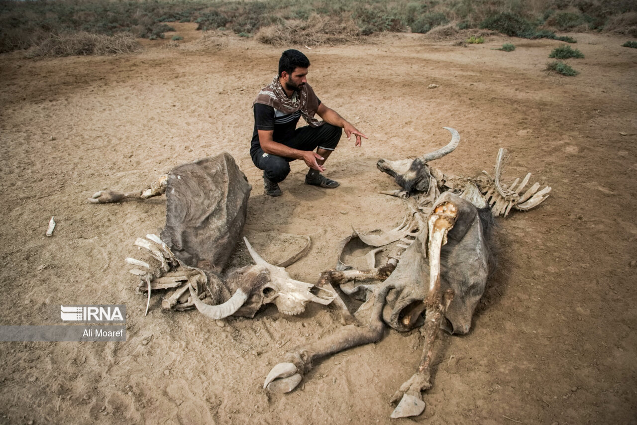 رُفیّع؛ در خطر کم آبی