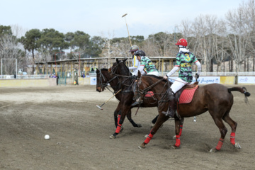 Liga Nacional de Polo en Irán