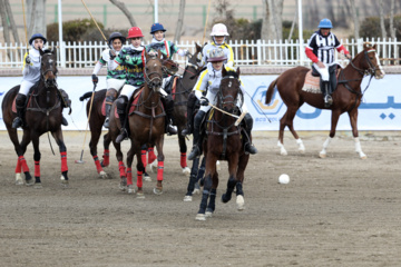 Liga Nacional de Polo en Irán